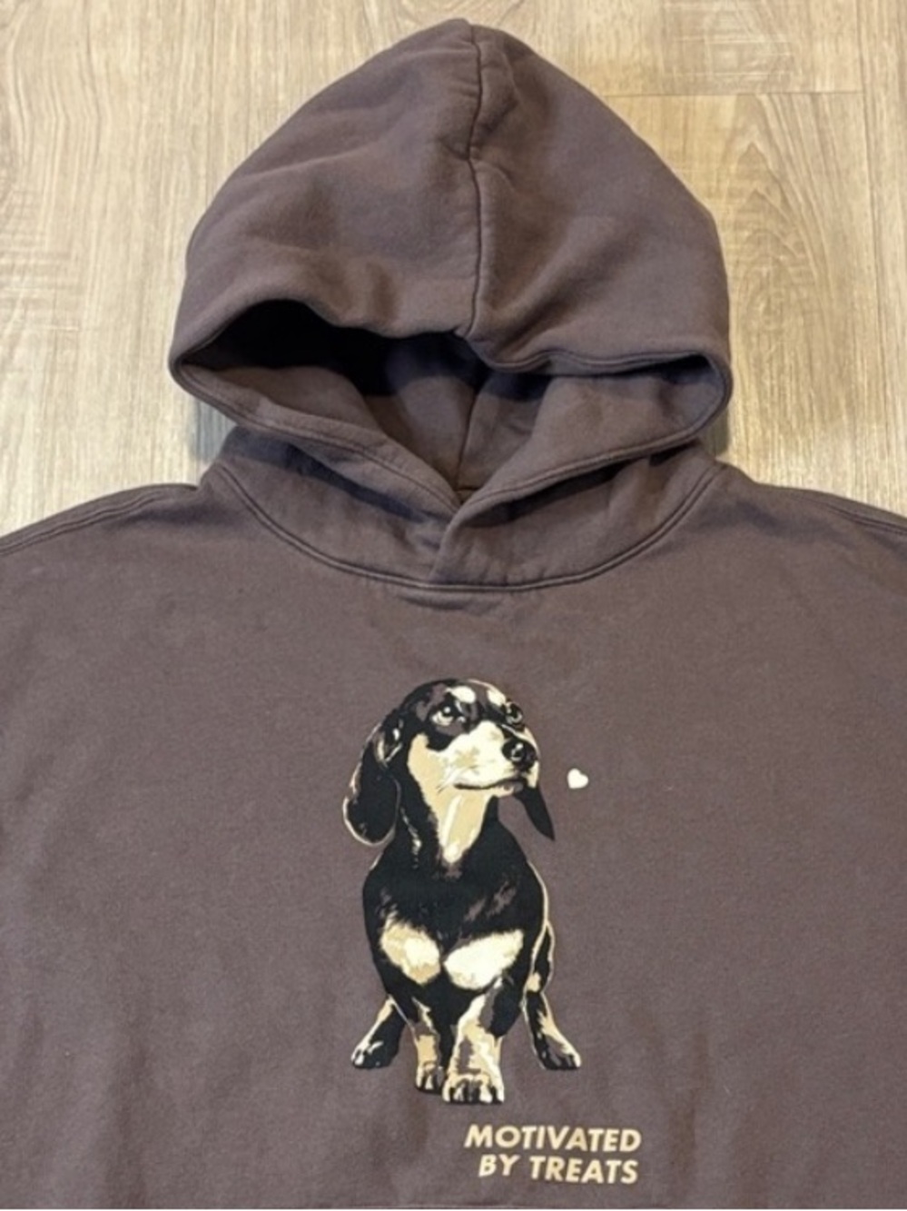 Wild Fable “Motivated by Treats” Dachshund Hoodie - Picture 5 of 11